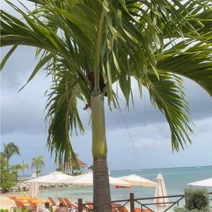 Meet your Posher, Lily